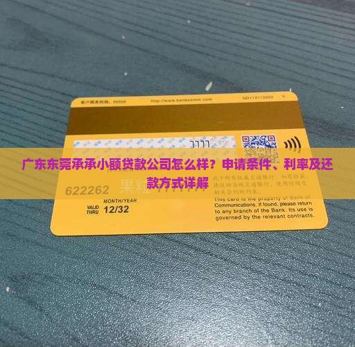 广东东莞承承小额贷款公司怎么样？申请条件、利率及还款方式详解
