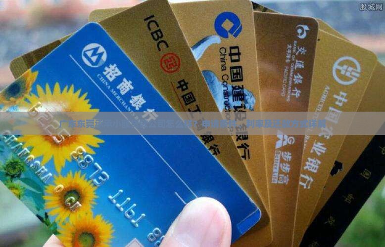 广东东莞承承小额贷款公司怎么样？申请条件、利率及还款方式详解