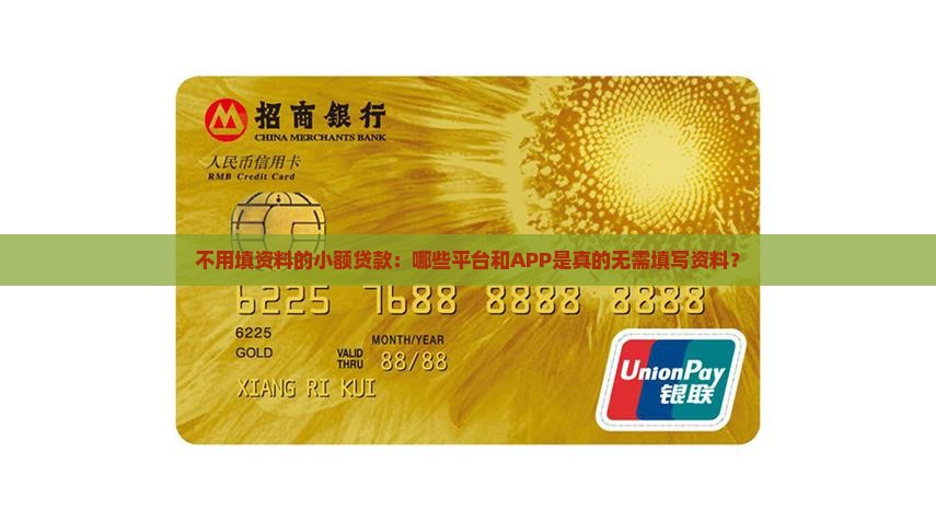 不用填资料的小额贷款：哪些平台和APP是真的无需填写资料？