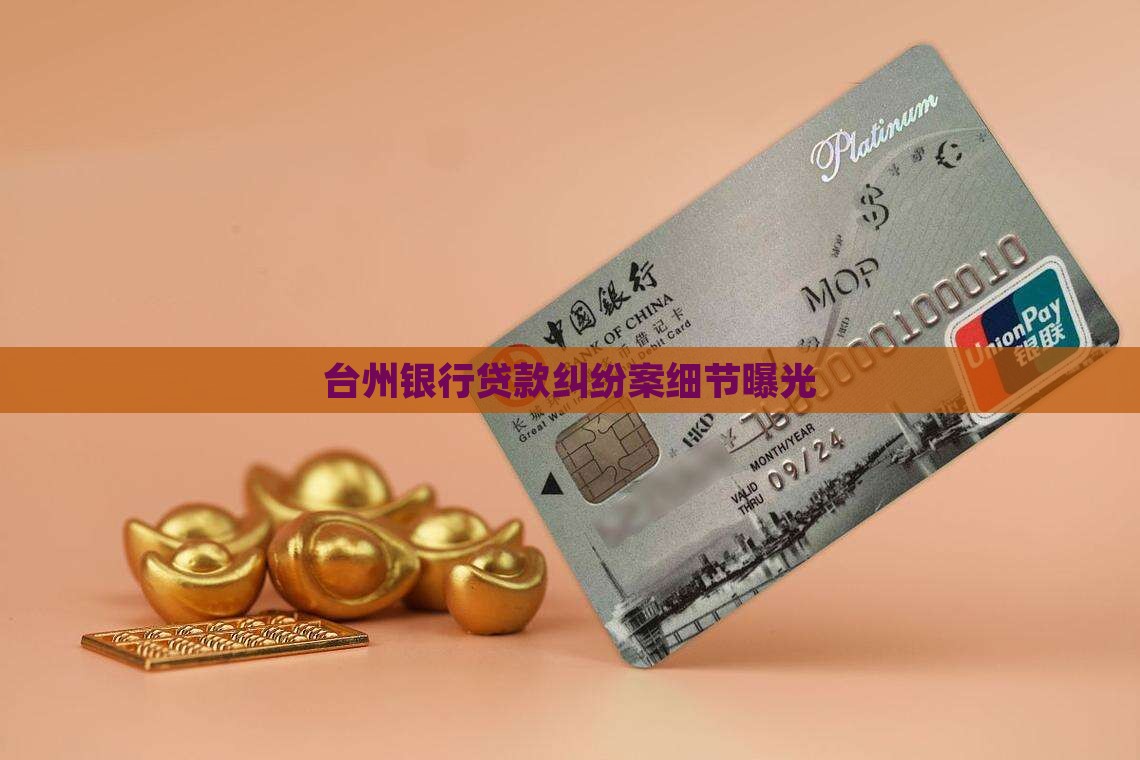 台州银行贷款纠纷案细节曝光