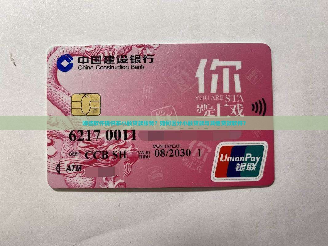 哪些软件提供非小额贷款服务？如何区分小额贷款与其他贷款软件？