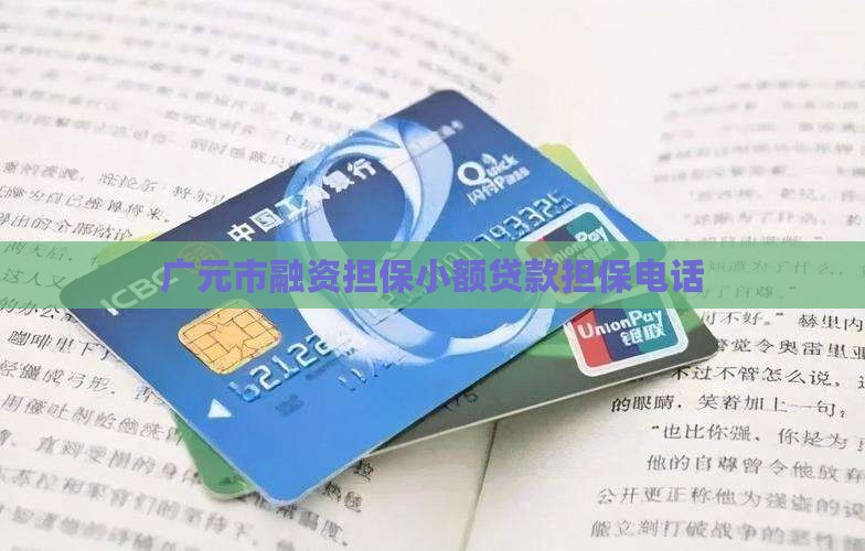 广元市融资担保小额贷款担保电话