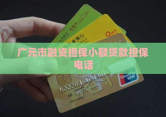 广元市融资担保小额贷款担保电话