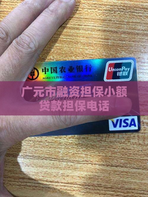 广元市融资担保小额贷款担保电话