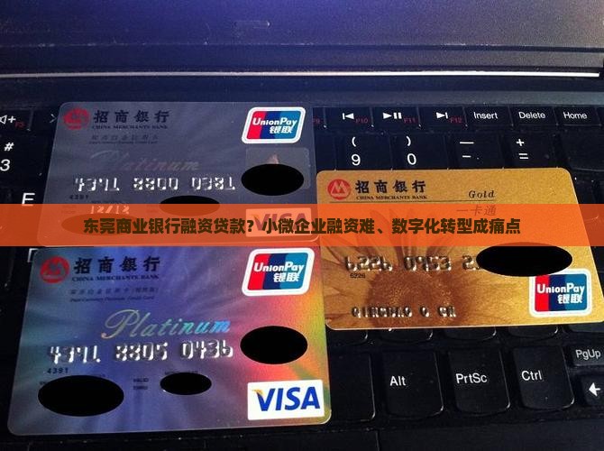 东莞商业银行融资贷款？小微企业融资难、数字化转型成痛点