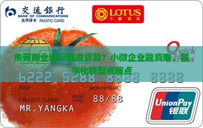 东莞商业银行融资贷款？小微企业融资难、数字化转型成痛点