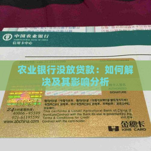 农业银行没放贷款：如何解决及其影响分析
