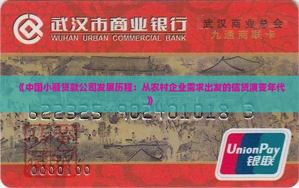 《中国小额贷款公司发展历程：从农村企业需求出发的信贷演变年代》