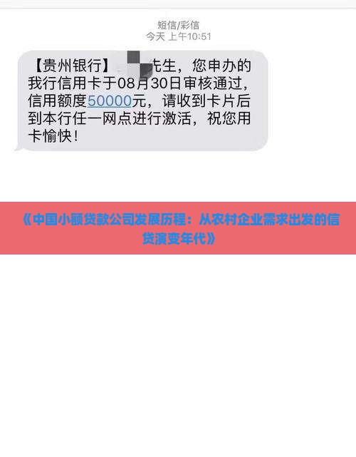 《中国小额贷款公司发展历程：从农村企业需求出发的信贷演变年代》