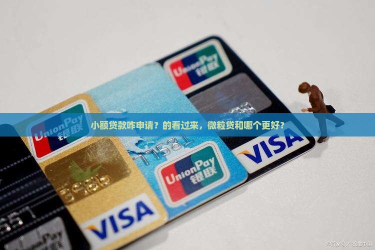 小额贷款咋申请？的看过来，微粒贷和哪个更好？
