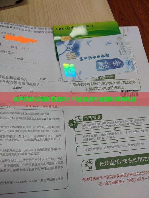 抵押贷款公司有前途吗？行业痛点与金融科技新机遇