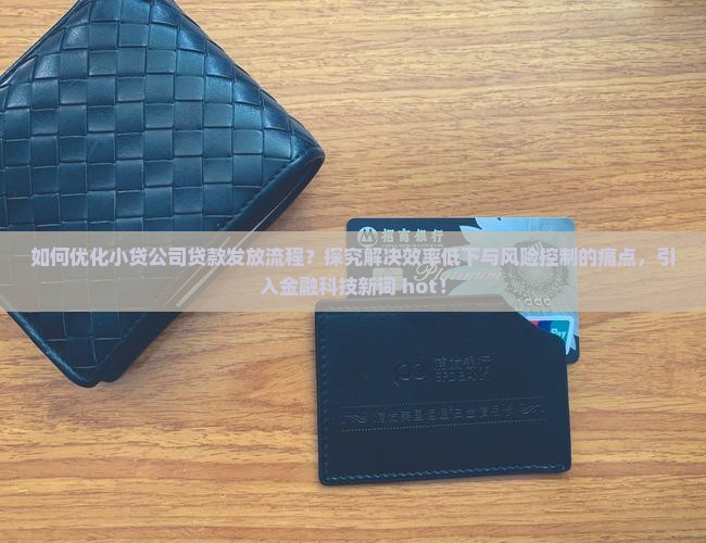 如何优化小贷公司贷款发放流程？探究解决效率低下与风险控制的痛点，引入金融科技新词 hot！