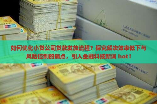 如何优化小贷公司贷款发放流程？探究解决效率低下与风险控制的痛点，引入金融科技新词 hot！