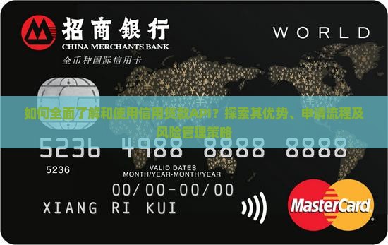 如何全面了解和使用信用贷款API？探索其优势、申请流程及风险管理策略