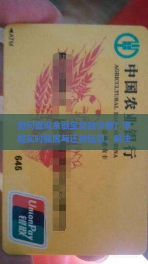 如何查询余额宝贷款详情？掌握实时额度与还款信息，解决资金周转痛点！