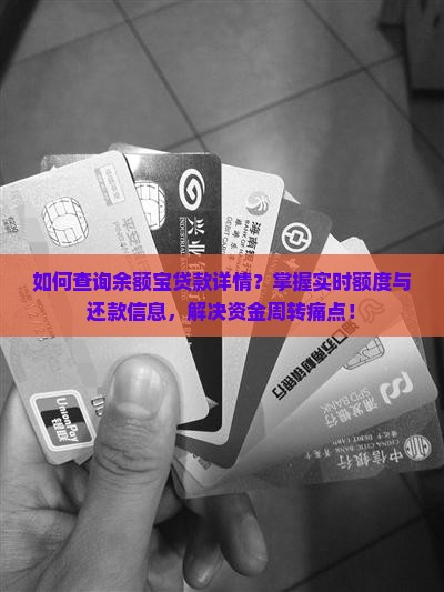 如何查询余额宝贷款详情？掌握实时额度与还款信息，解决资金周转痛点！