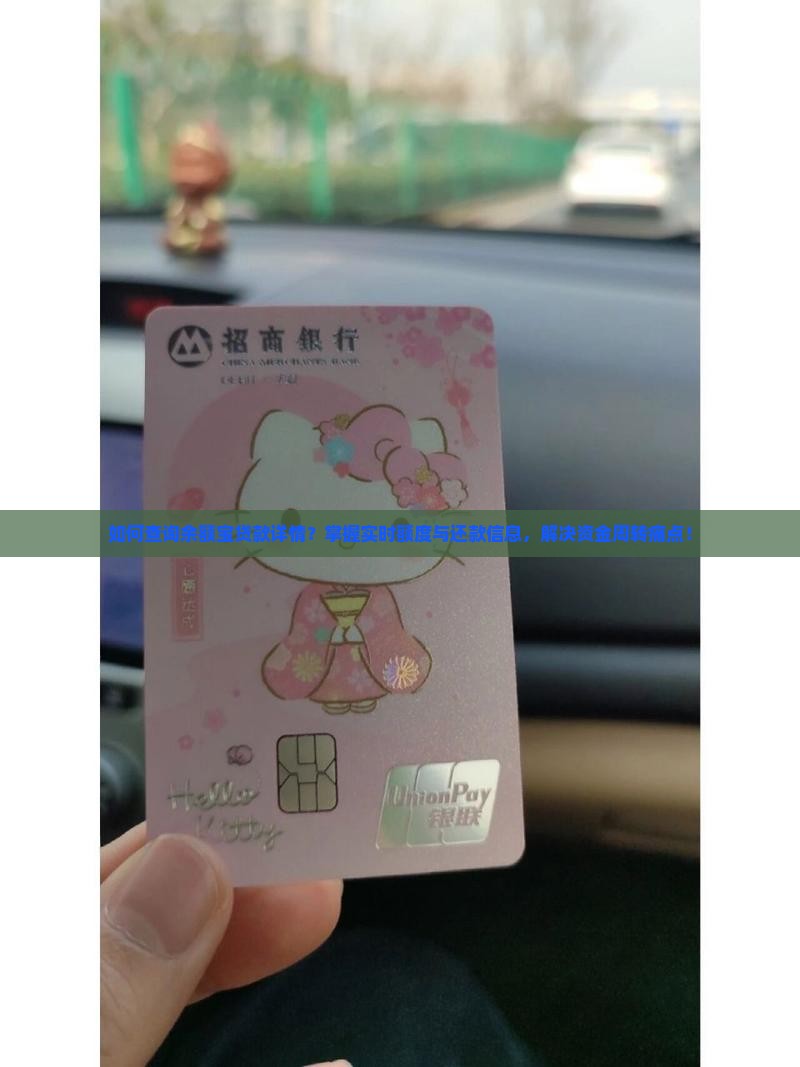 如何查询余额宝贷款详情？掌握实时额度与还款信息，解决资金周转痛点！