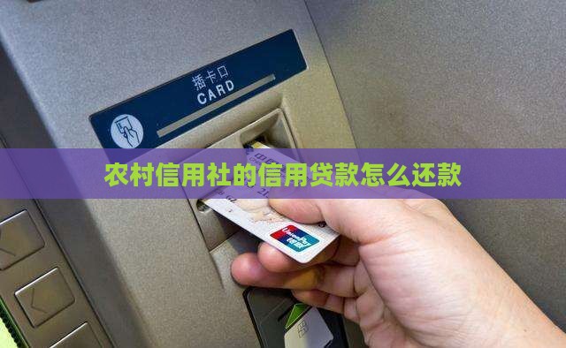 农村信用社的信用贷款怎么还款