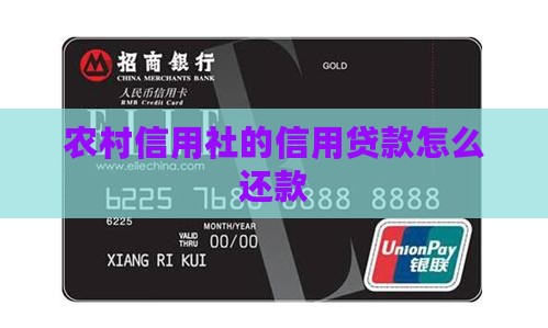 农村信用社的信用贷款怎么还款