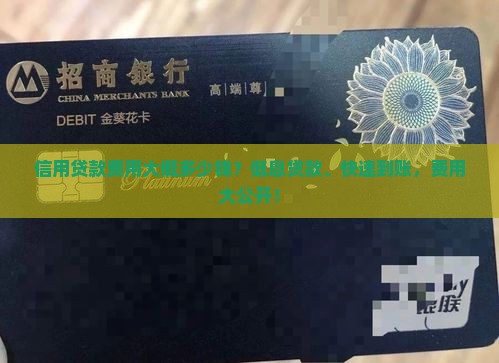 信用贷款费用大概多少钱？低息贷款、快速到账，费用大公开！