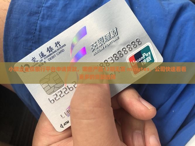 小微企业在银行平台申请贷款，哪些产品12期无需 minutes，公司快速看看更多的贷款选择