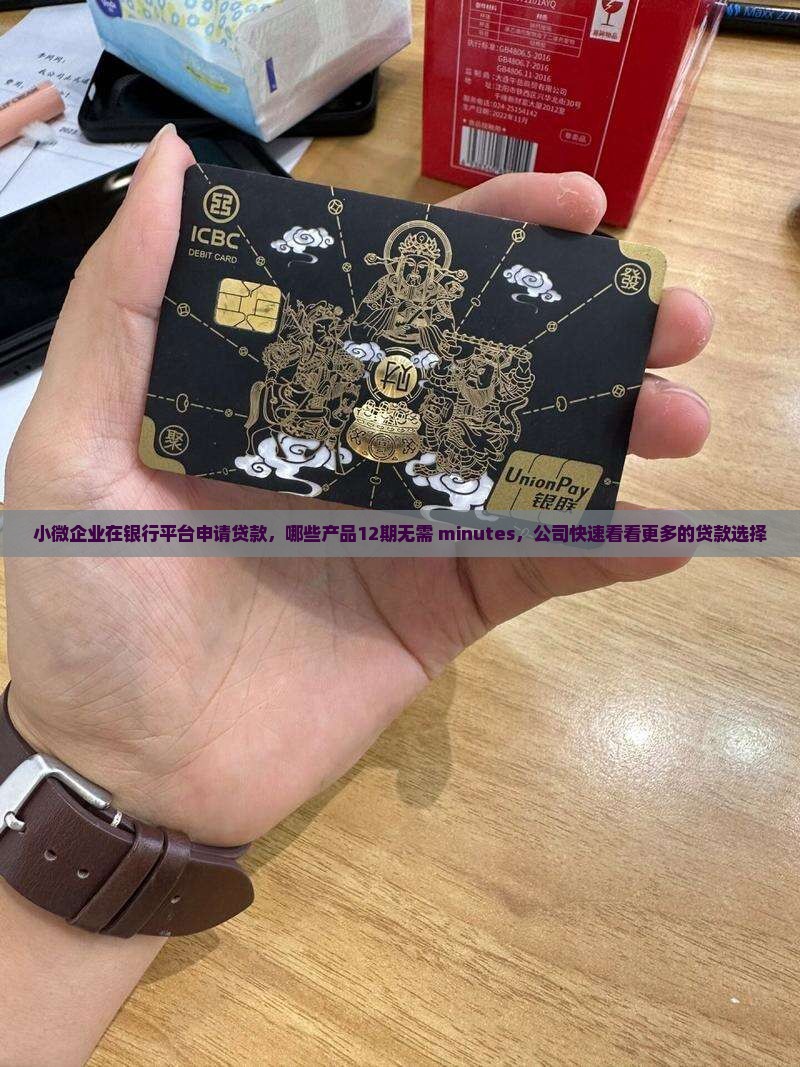 小微企业在银行平台申请贷款，哪些产品12期无需 minutes，公司快速看看更多的贷款选择