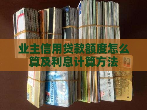 业主信用贷款额度怎么算及利息计算方法