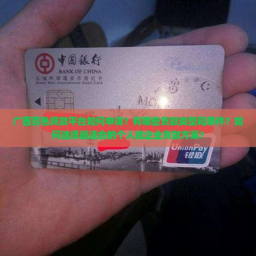 广西百色贷款平台如何申请？有哪些贷款类型和条件？如何选择最适合的个人或企业贷款方案？