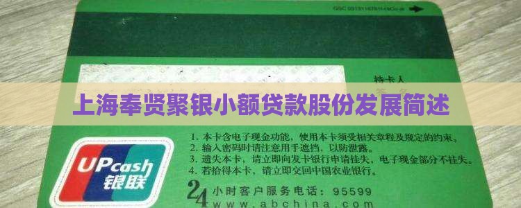 上海奉贤聚银小额贷款股份发展简述 上海奉贤聚银小额贷款股份发展简述