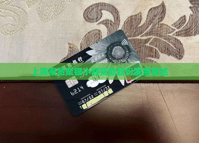 上海奉贤聚银小额贷款股份发展简述 上海奉贤聚银小额贷款股份发展简述