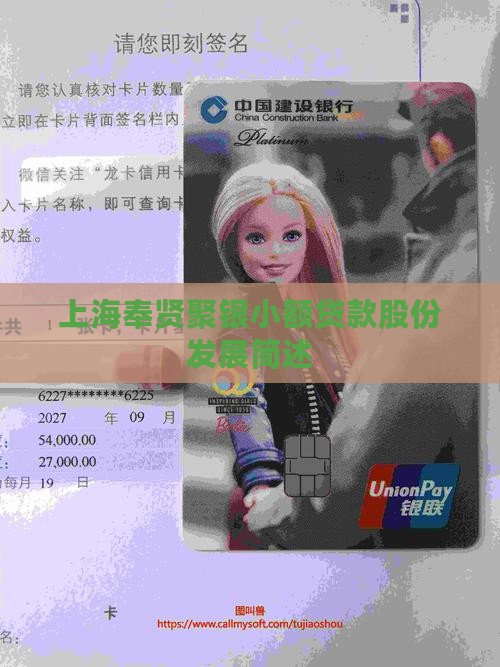 上海奉贤聚银小额贷款股份发展简述 上海奉贤聚银小额贷款股份发展简述