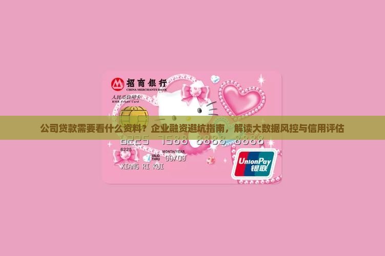 公司贷款需要看什么资料？企业融资避坑指南，解读大数据风控与信用评估