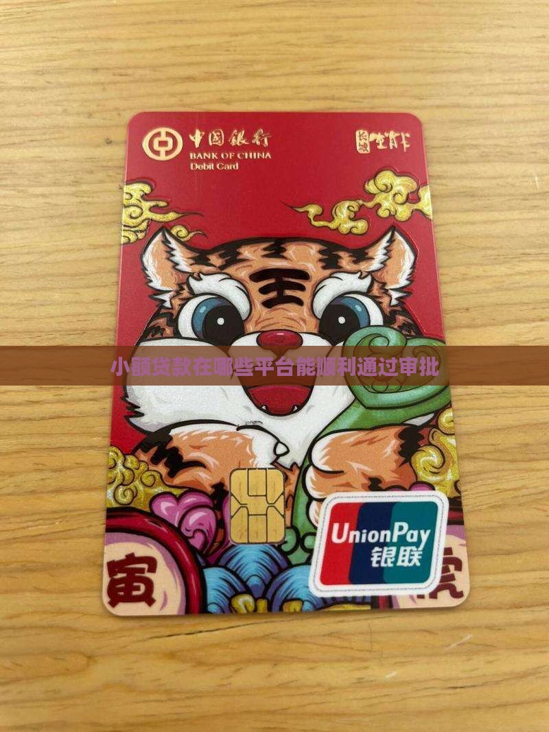 小额贷款在哪些平台能顺利通过审批