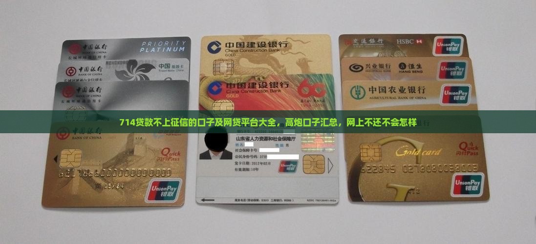 714贷款不上征信的口子及网贷平台大全，高炮口子汇总，网上不还不会怎样