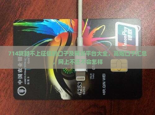 714贷款不上征信的口子及网贷平台大全，高炮口子汇总，网上不还不会怎样