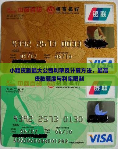 小额贷款最大公司利率及计算方法，最高贷款额度与利率限制
