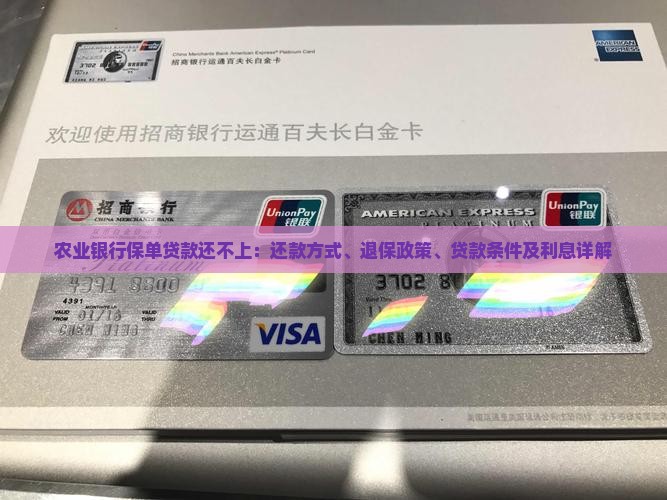农业银行保单贷款还不上：还款方式、退保政策、贷款条件及利息详解