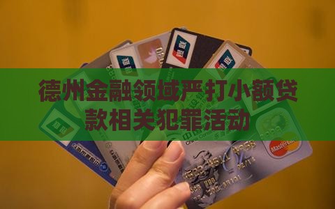 德州金融领域严打小额贷款相关犯罪活动