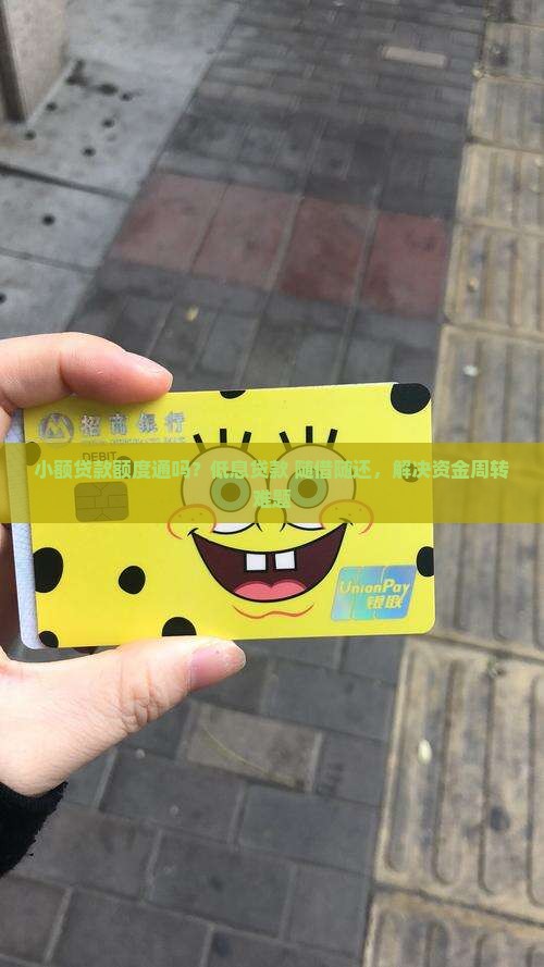小额贷款额度通吗？低息贷款+随借随还，解决资金周转难题
