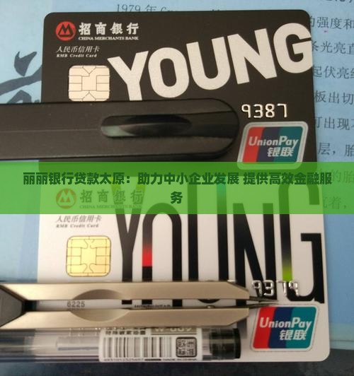 丽丽银行贷款太原：助力中小企业发展 提供高效金融服务