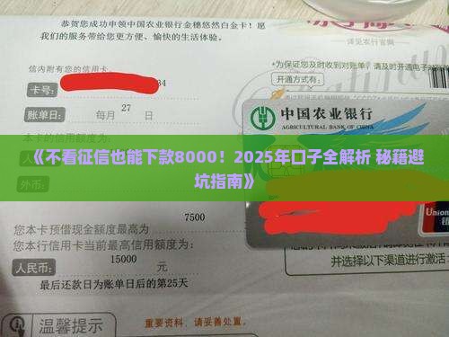 不看征信的贷款8000