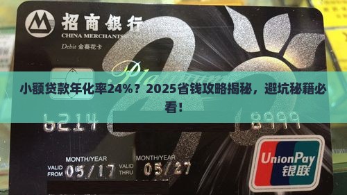 小额贷款年化率24