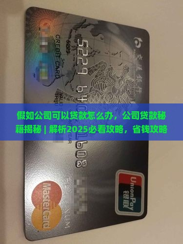 假如公司可以贷款怎么办