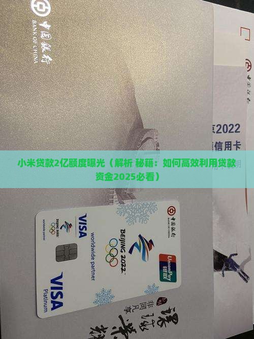 小米贷款有2亿额度