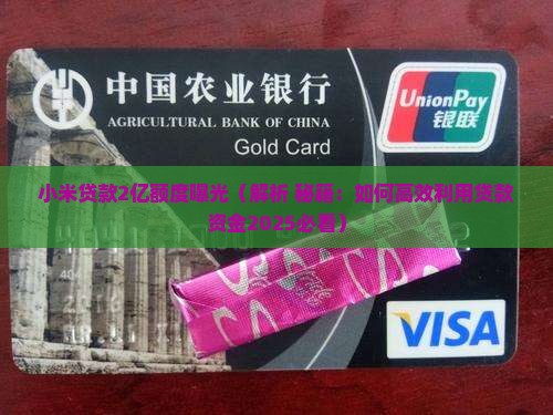小米贷款有2亿额度