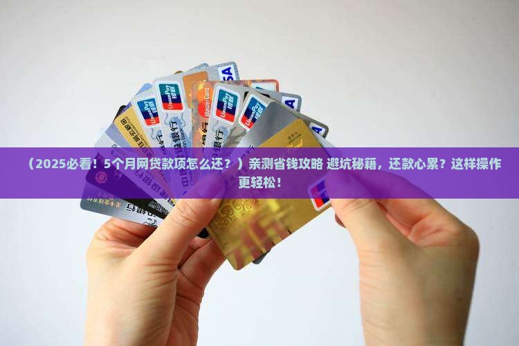 网上贷款期限5个月还款