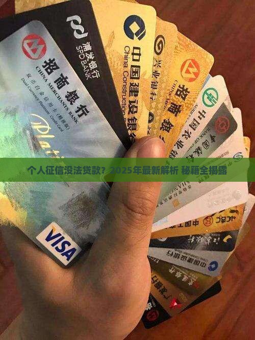 个人征信没法贷款吗