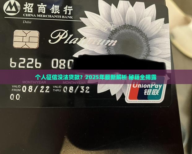 个人征信没法贷款吗