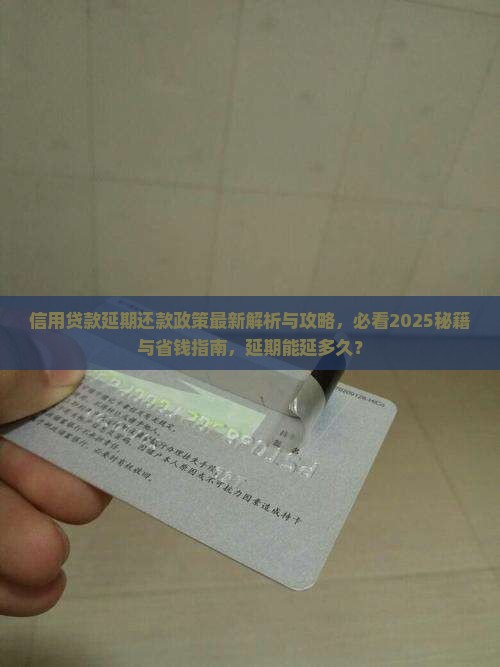 信用贷款延期还款政策