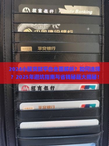 小额贷款平台2024
